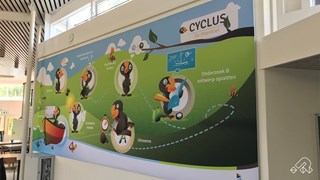 De-Meerkoet-Cyclus-wand
