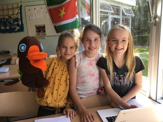 De Mascotte, Koet
