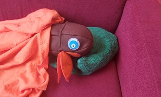Mascotte De Meerkoet, Koet slaapt