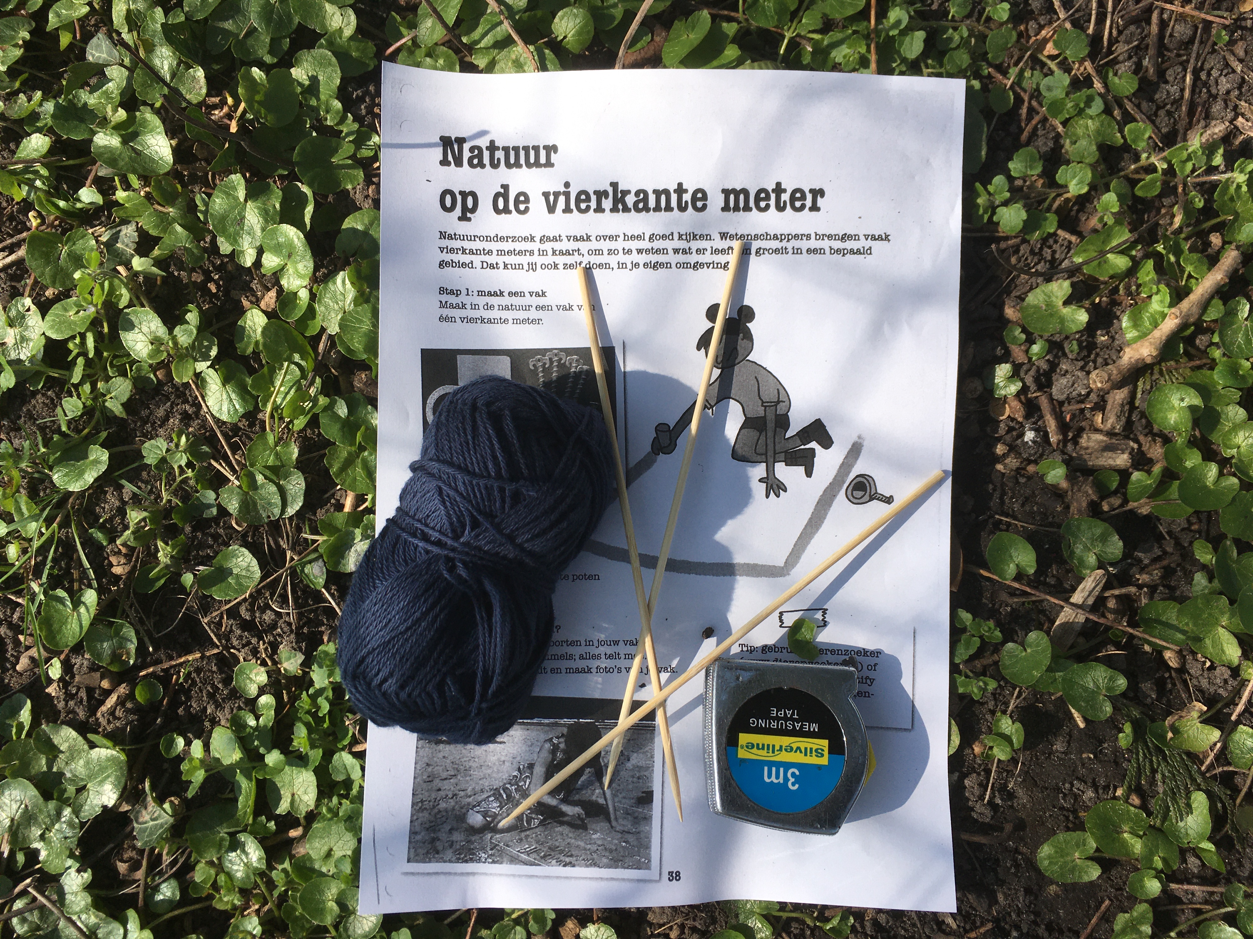 De natuur rondom basisschool De Meerkoet.