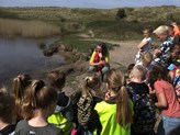 De Meerkoet Petten bodemonderzoek 2