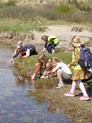 De Meerkoet Petten vierkante meter onderzoek 2