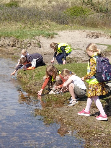 De Meerkoet Petten vierkante meter onderzoek 2