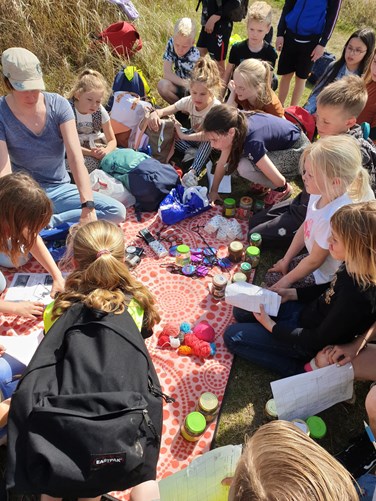 De Meerkoet Petten vierkante meter onderzoek 5