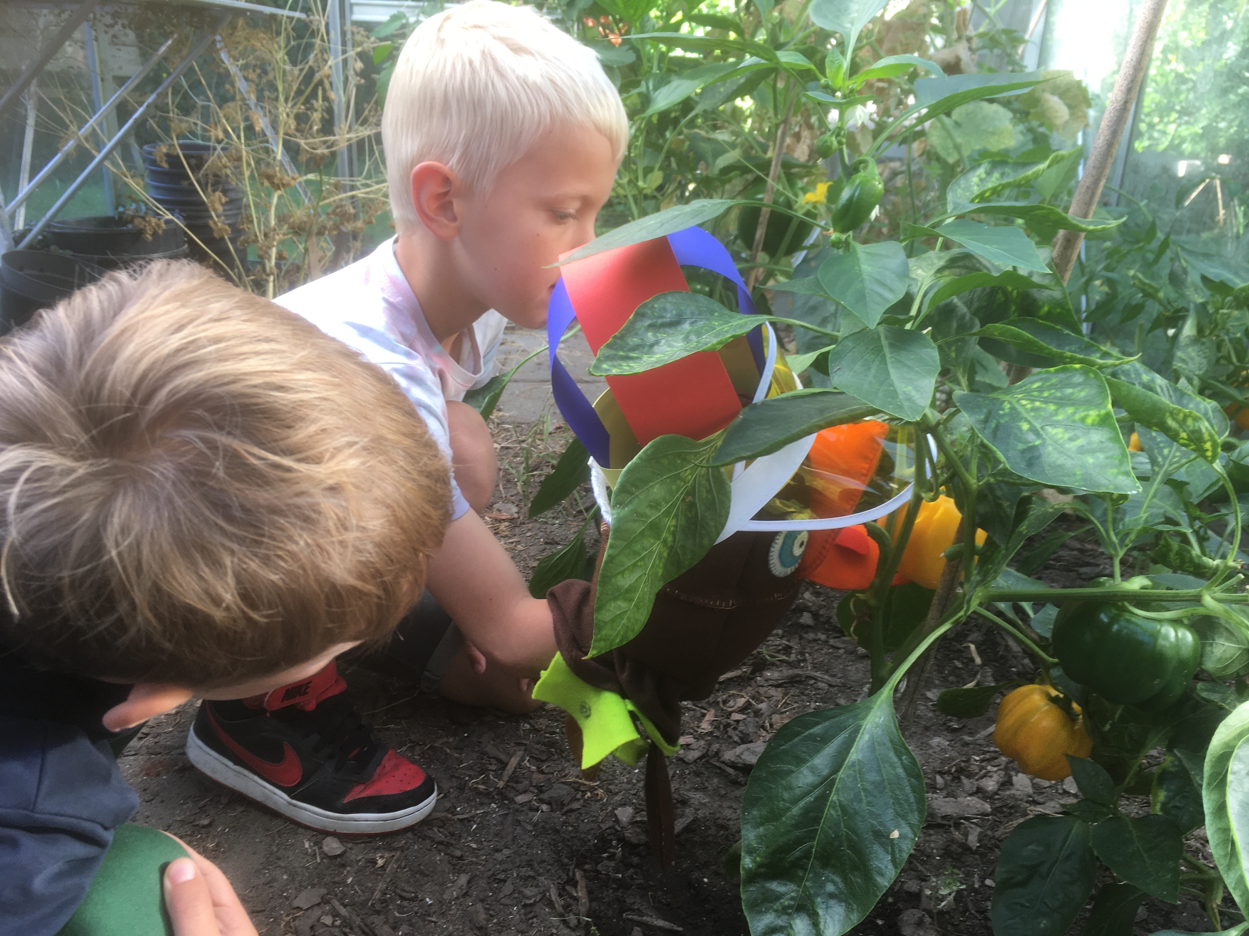 Feestweek De Meerkoet!