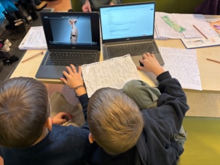 De Meerkoet Het Klokhuis 1