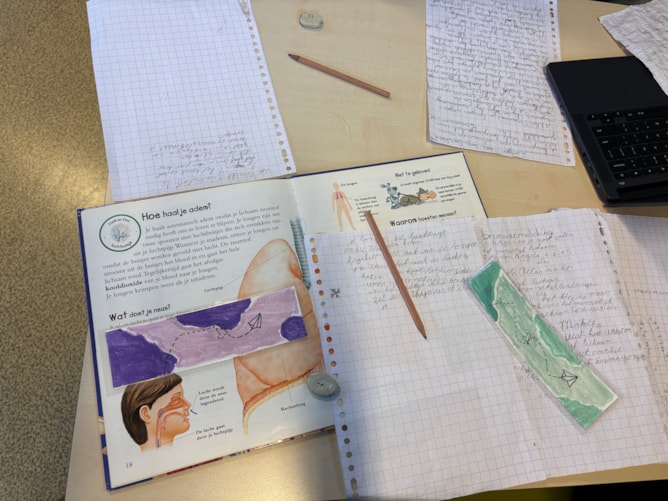 De Meerkoet Het Klokhuis 2