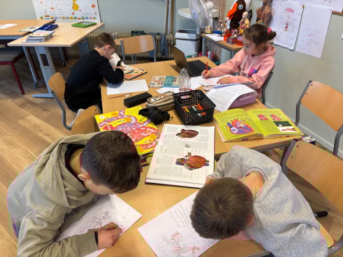 De Meerkoet Het Klokhuis 5